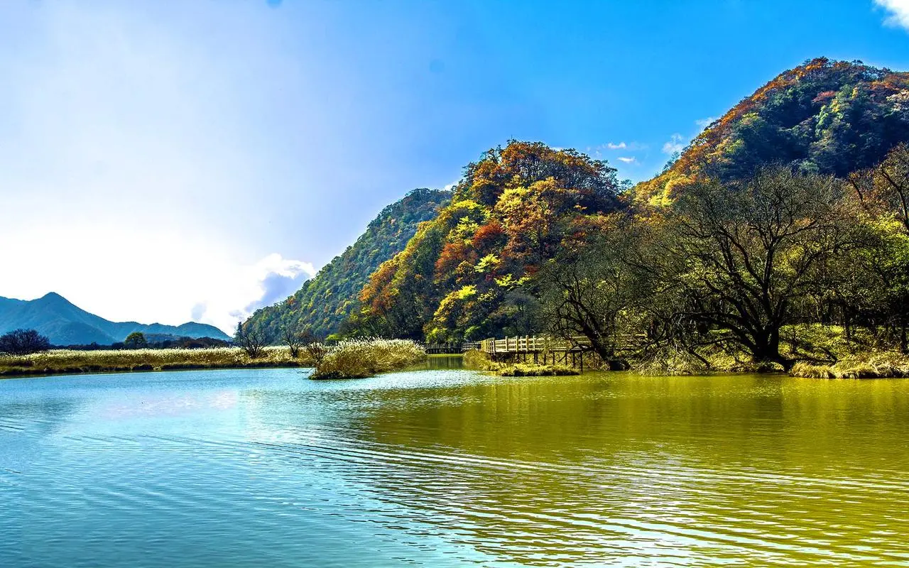 创新可靠性